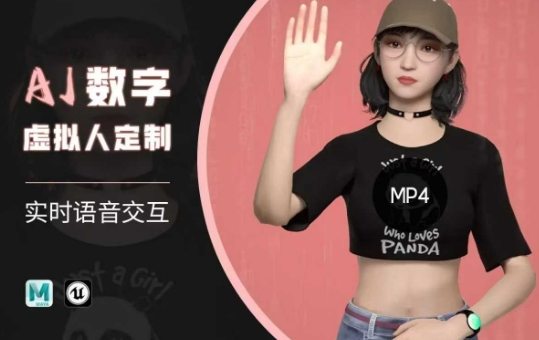 Ai数字人虚拟(智能体)实时语音交互特训营，?自行定制超写实角色AI数字人交互技术