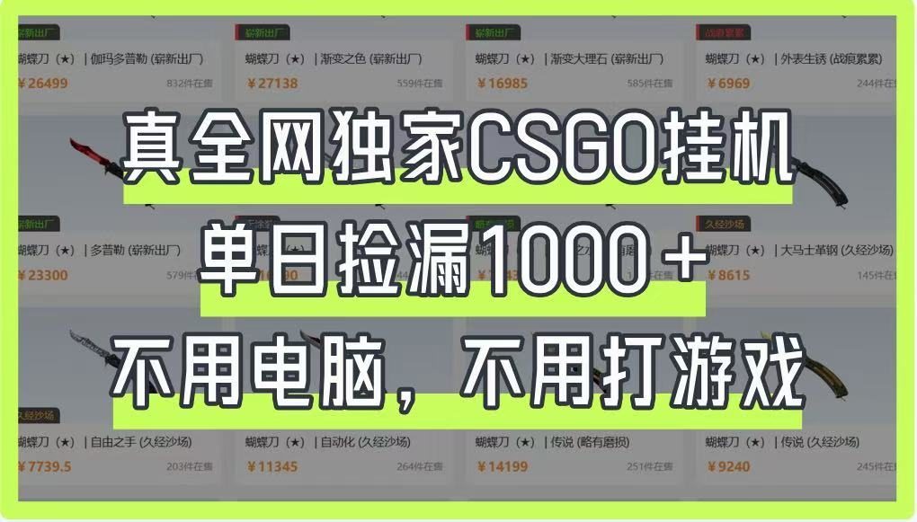 真全网独家CSGO挂机，单日捡漏1000+，不用电脑，不用养号