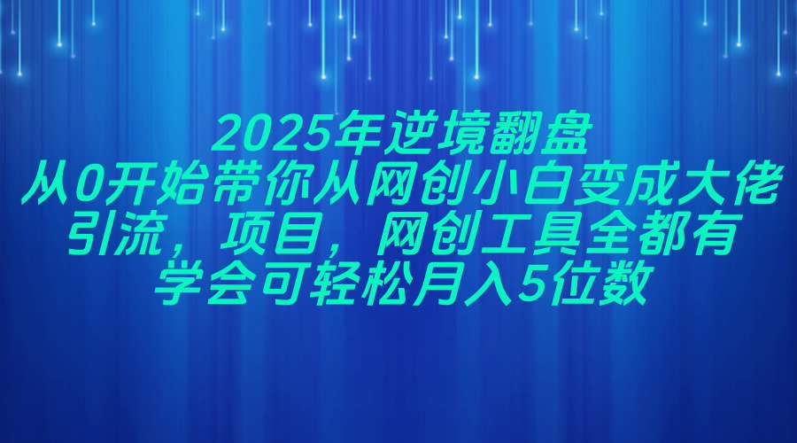 2025年逆境翻盘，从0开始带你从网创小白变成大佬，引流，项目，网创工…