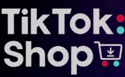 TikTokShop跨境电商0-1实战，手把手教你低成本启动海外市场(更新)