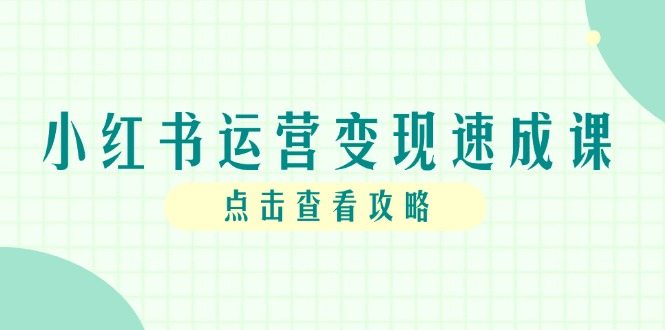 小红书运营变现速成课，账号搭建到暴力起号，个人IP全流程指南