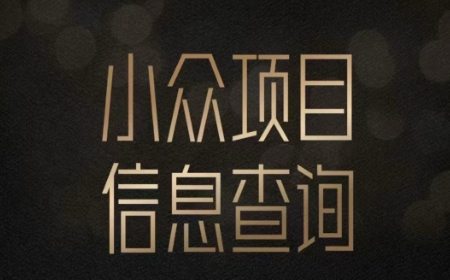 小众蓝海项目情感查询，女粉暴力掘金，轻松日入500+【揭秘】