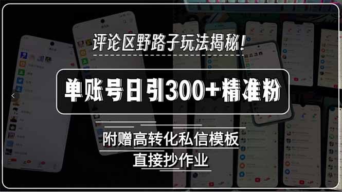 评论区野路子玩法揭秘！单账号日引300+精准粉，附赠高转化私信模板，直…