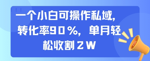 一个小白可操作私域，转化率90%，单月轻松收割2W