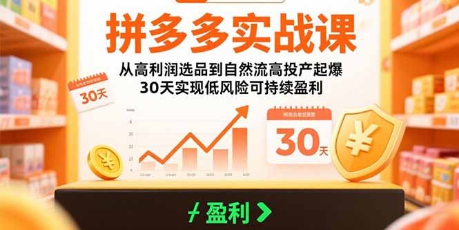 拼多多实战课：从高利润选品到自然流高投产起爆 30天实现低风险可持续盈利