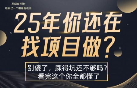 25年，你还在疯狂的找项目吗？别傻了，看完这个你都懂了【揭秘】