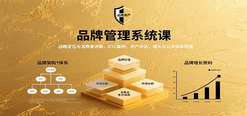 品牌管理系统课：战略定位与消费者洞察，DTC案例、资产评估，增长与公关体系搭建