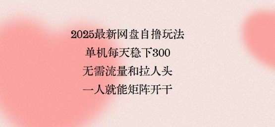 2025最新网盘自撸玩法，单机每天稳下3张，无需流量和拉人头，一个人就可轻松矩阵，全网独一份【揭秘】