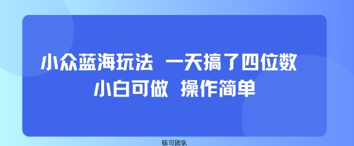 小众蓝海玩法 一天搞了四位数 小白可做 操作简单