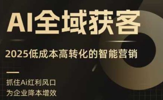 AI全域获客实训营，2025低成本高转化的智能营销，精准找客，高效营销