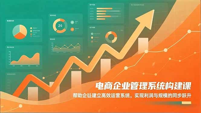 电商企业管理系统构建课：帮助企业建立高效运营系统，实现利润与规模的同步跃升